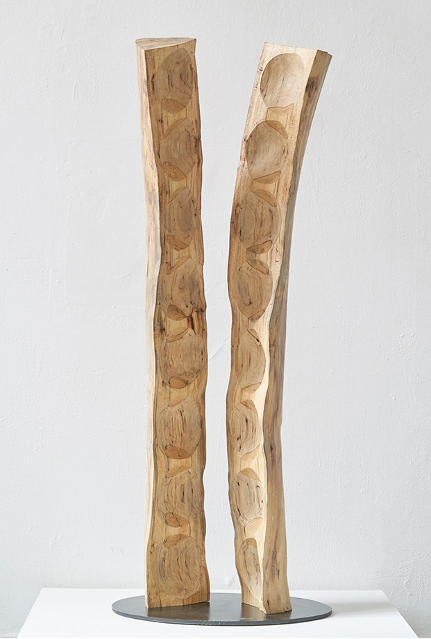 Image of Sculpture 'No enemies' made by Teresa Hunyadi. Two halves of a tree trunk, standing vertically. The insides are facing each other and show a repetition of smooth carved out bowl shapes.